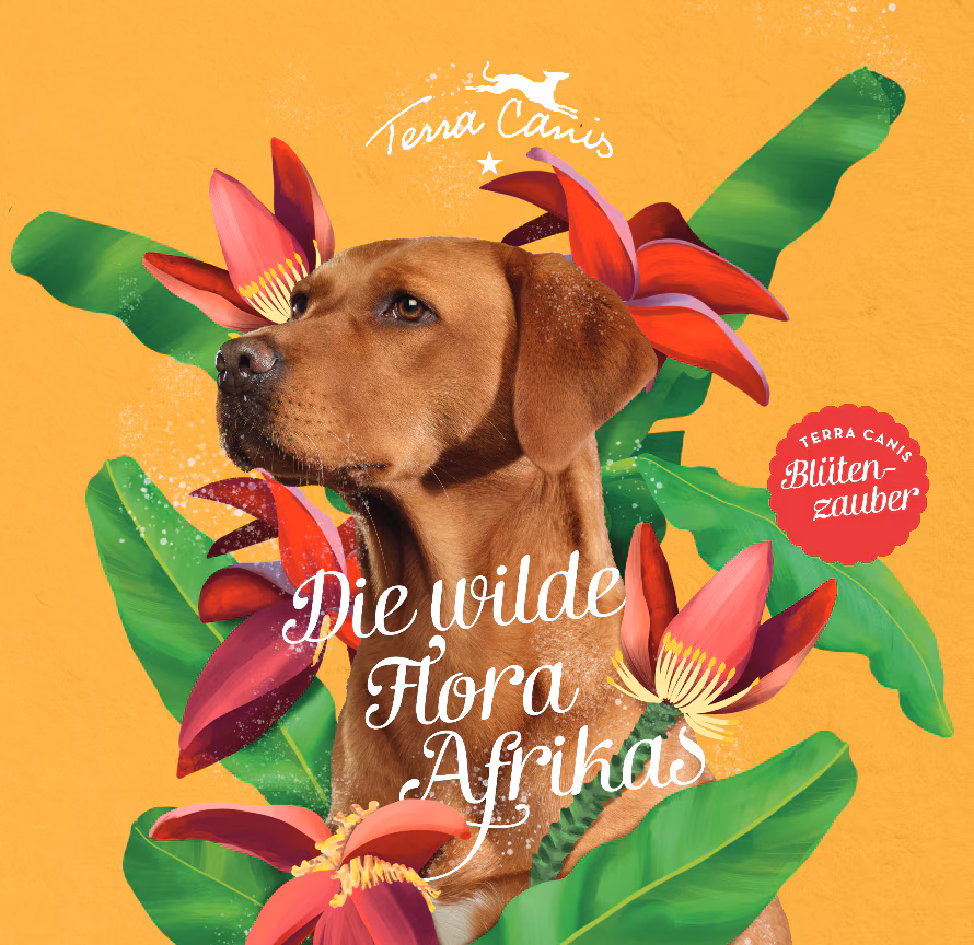 TC_Hakuna Pawtata_Launchflyer_IT_2025