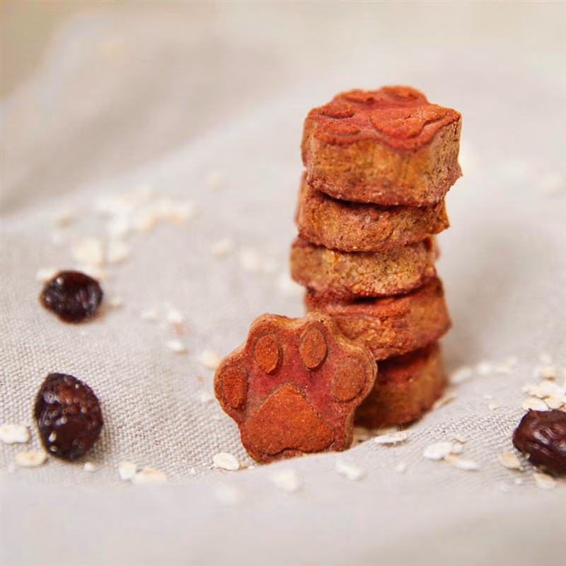 TC Kitchen Corner CookIt Puppy Paws Desktop1