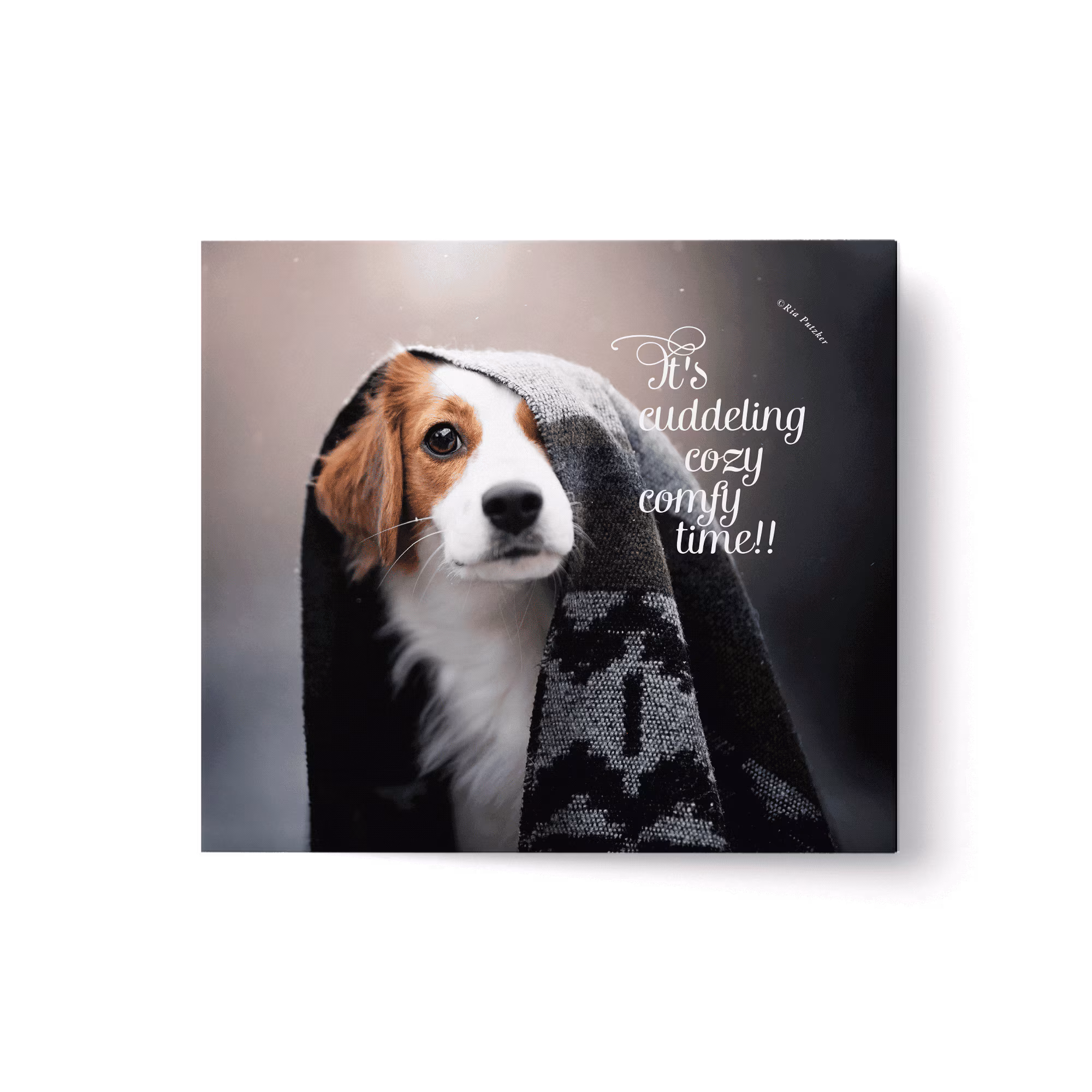 TC IT Flyer Liebe verpackt Herz 