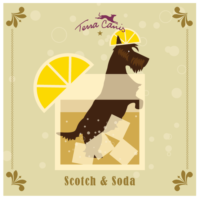 TC Magnet Scotch & Soda