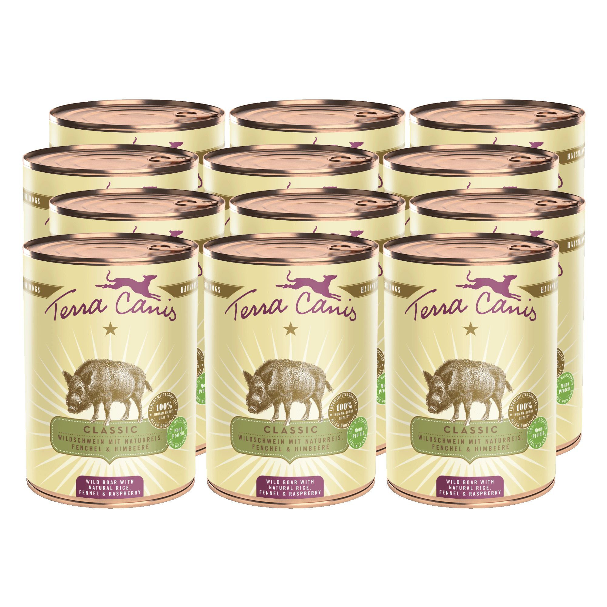 Terra Canis Classic | Wildschwein mit Naturreis, Fenchel und Himbeere 12x 400g