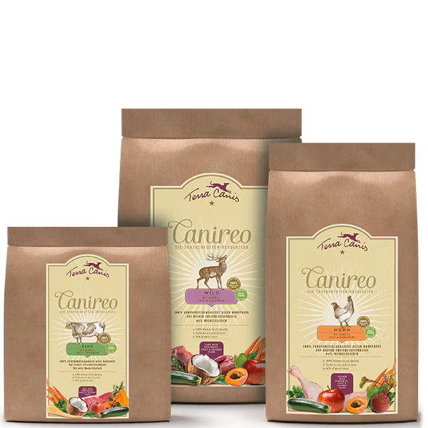 Hundefutter Trockenfutter