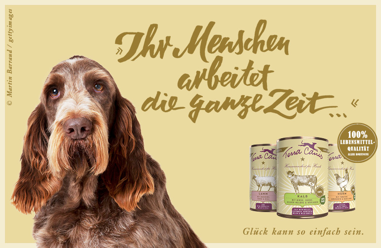 Hundeweisheiten 4