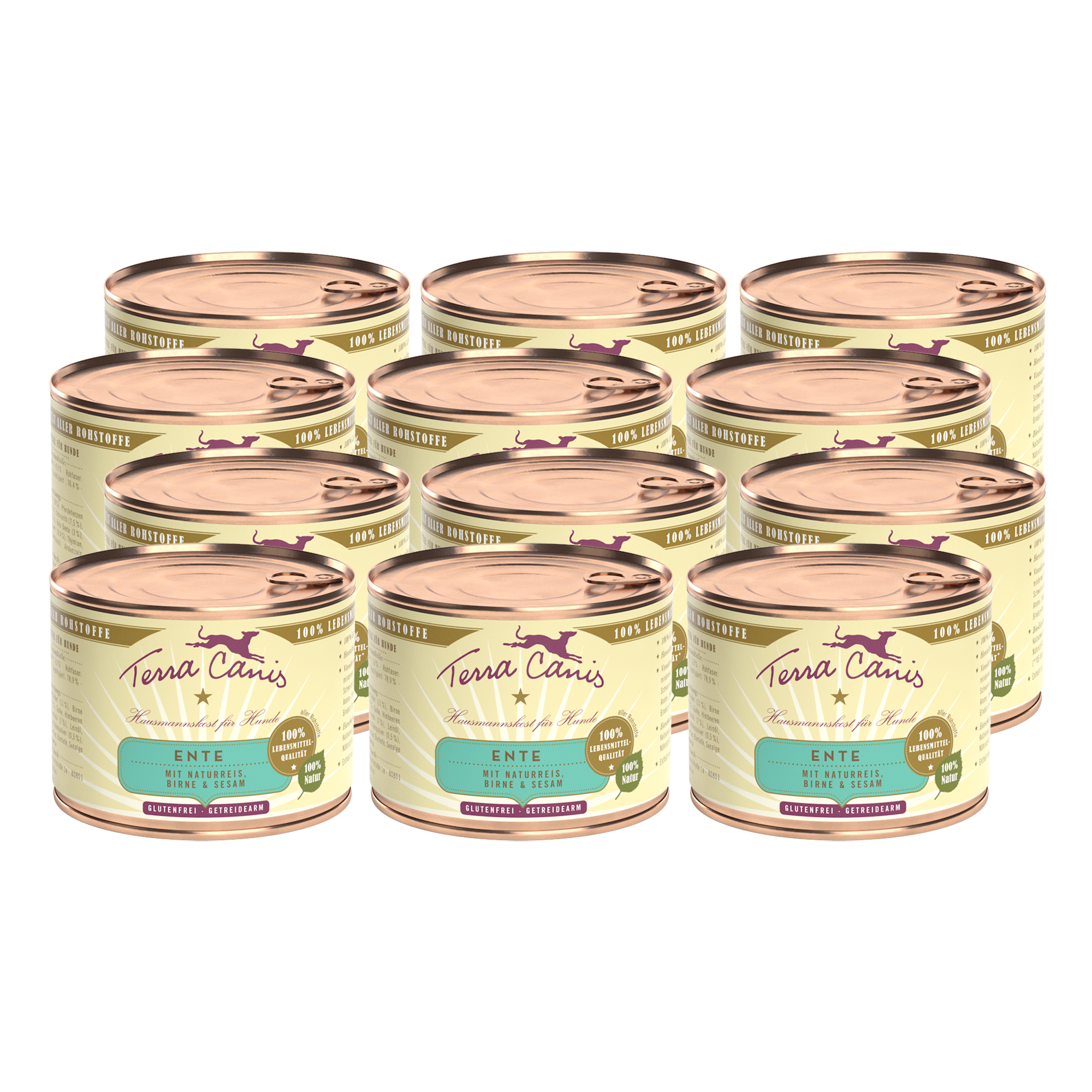 Terra Canis Classic Ente mit Naturreis, Roter Bete, Birne und Sesam
