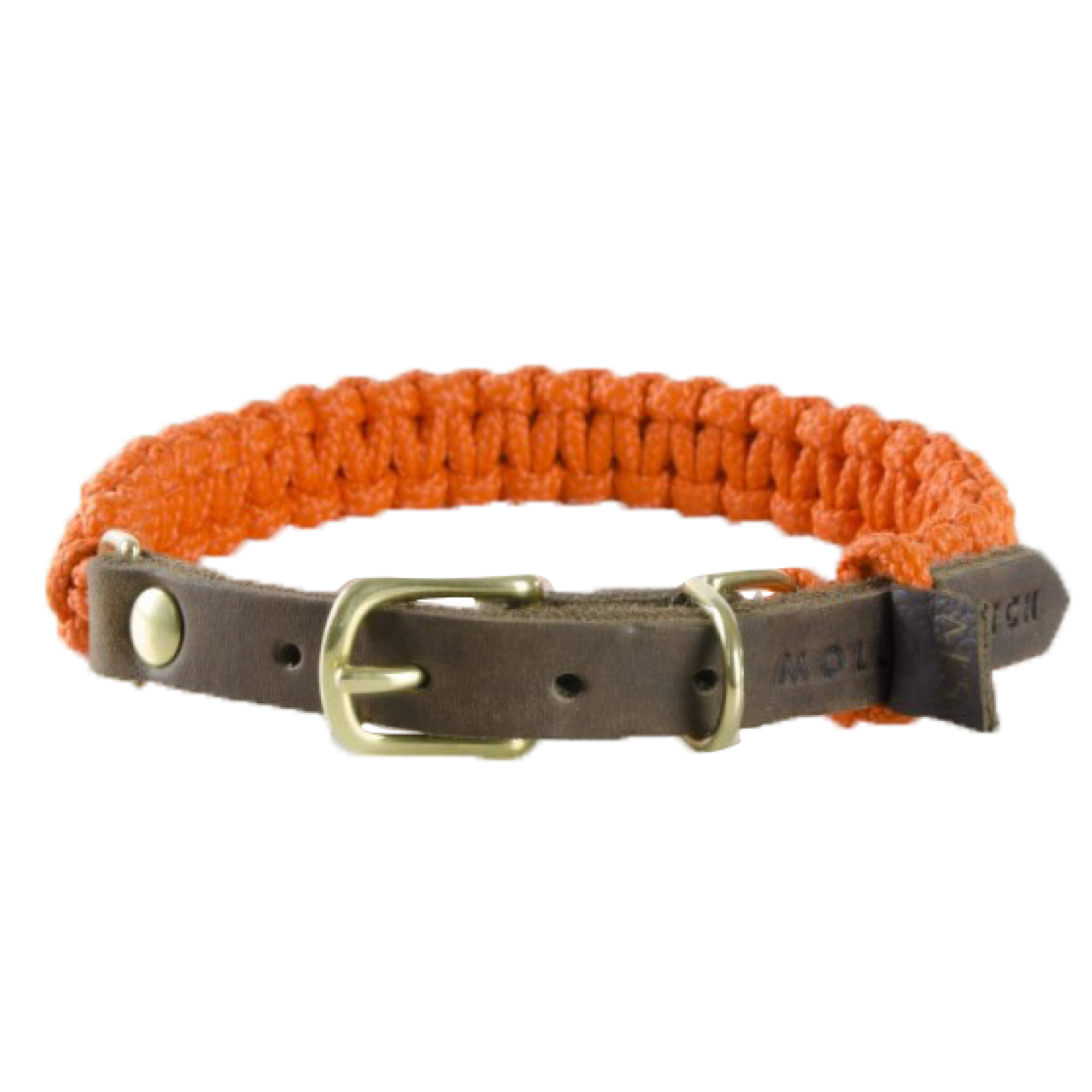Terra Canis Molly und Stitch | Halsband - Pumpkin XL