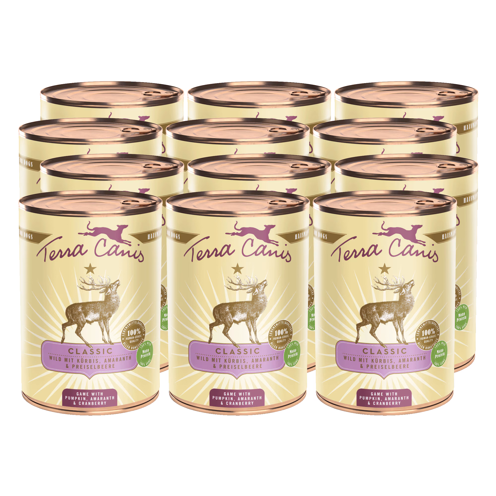 Wild mit Kürbis, Amaranth und Preiselbeere
