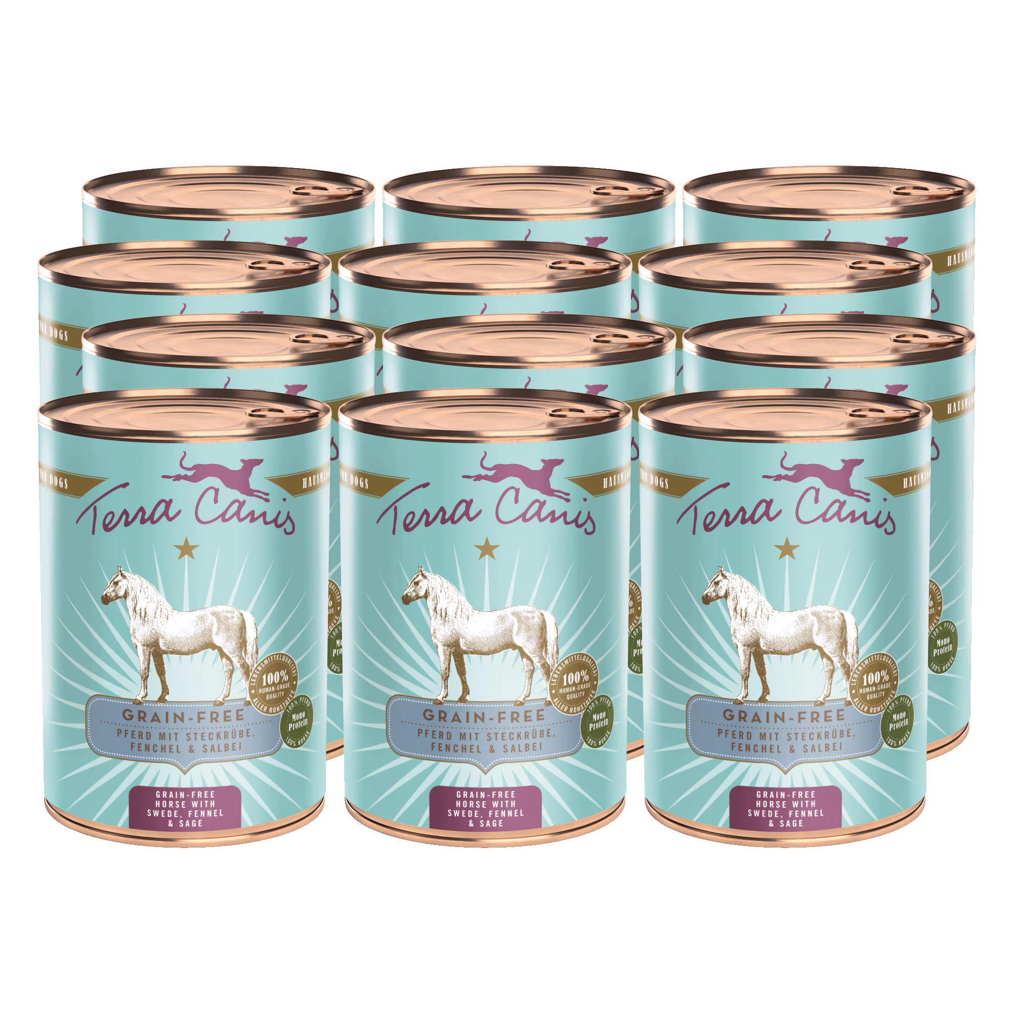 Pferd mit Steckrübe, Fenchel und Salbei