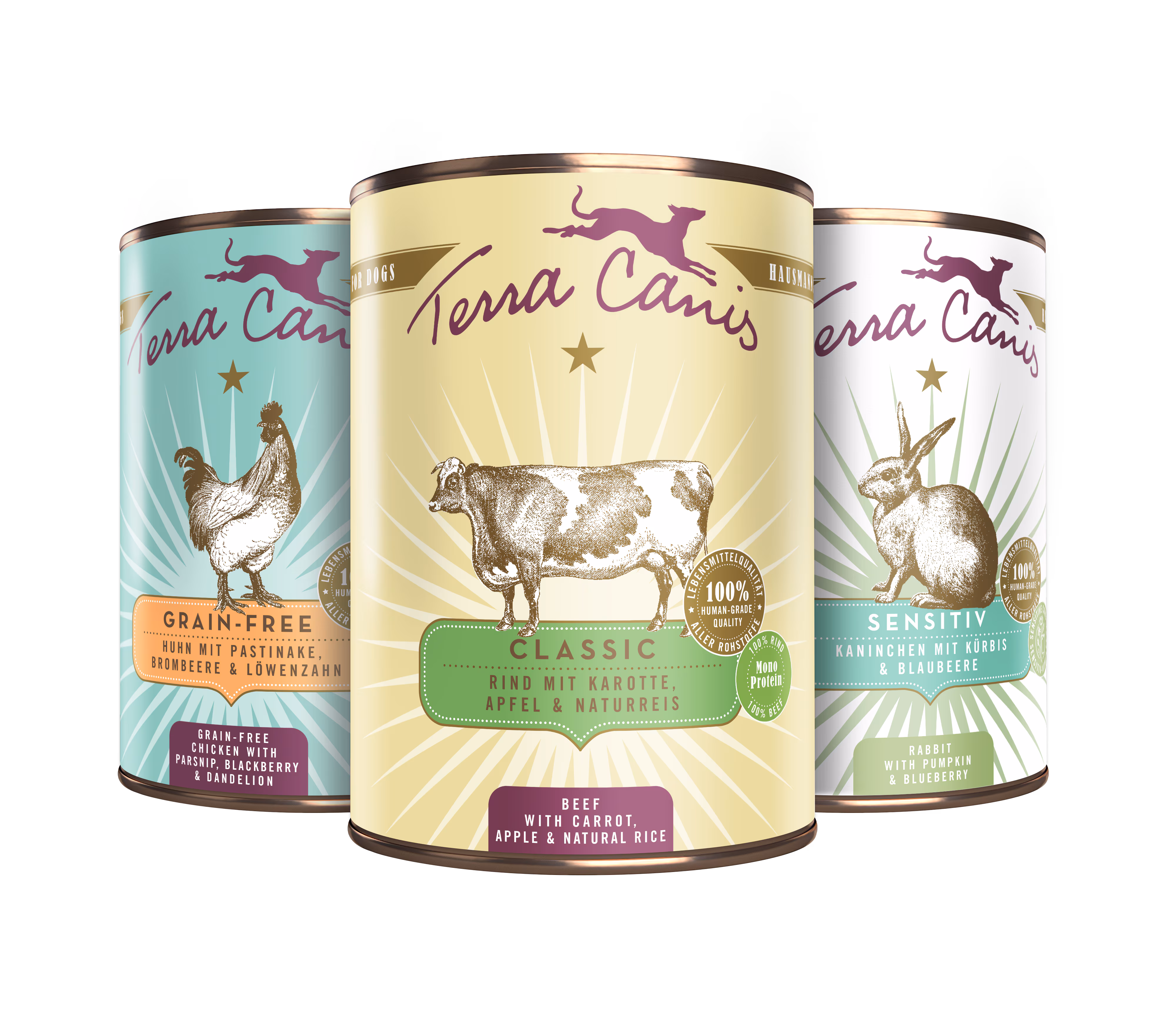 TC Produktpromo Dosen Mix2