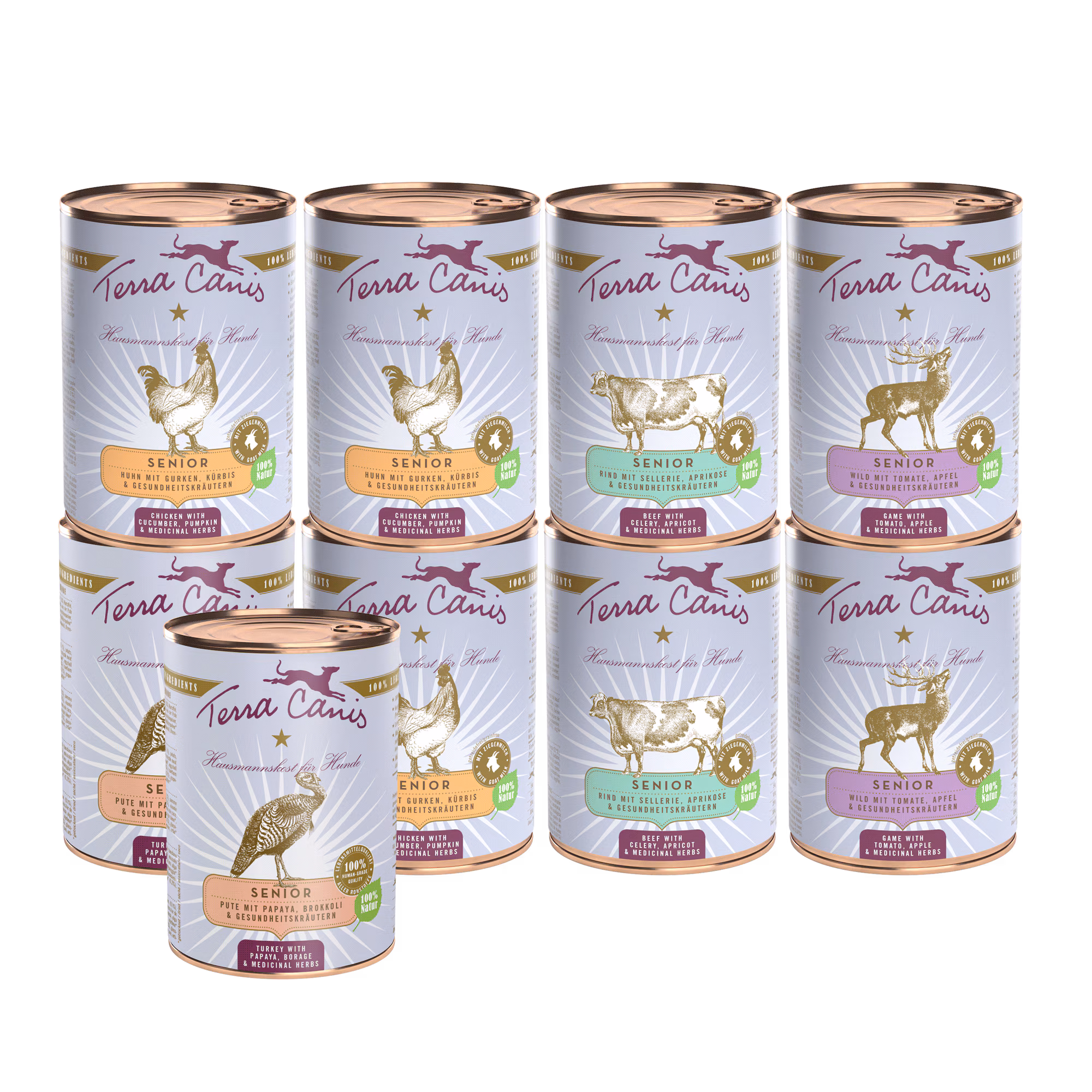 Kennenlernpaket L