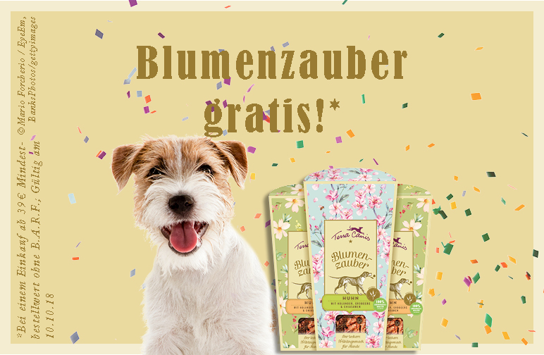 Welthundetag