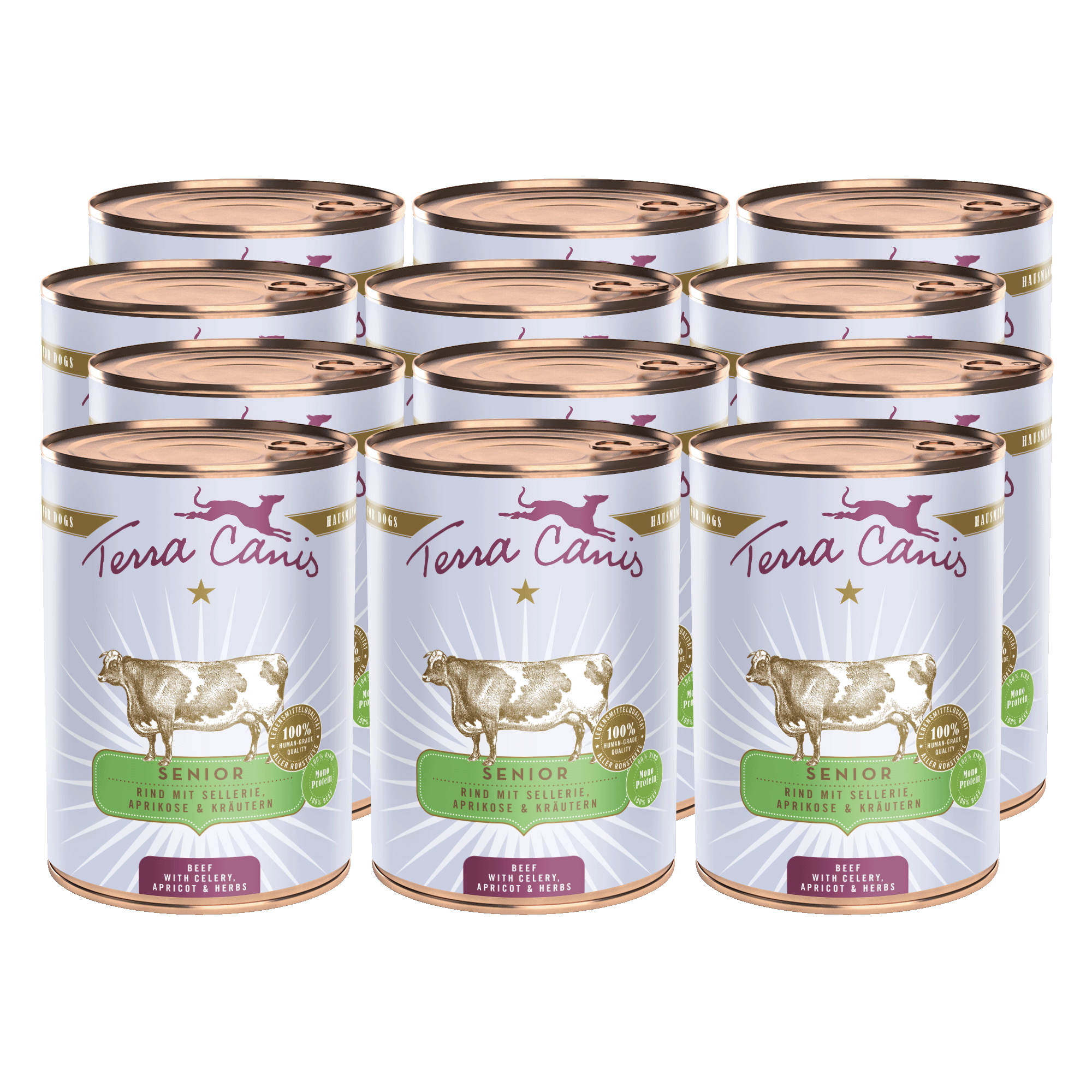 Terra Canis Senior | Rind mit Sellerie, Aprikose und Gesundheitskräutern 12x 800g