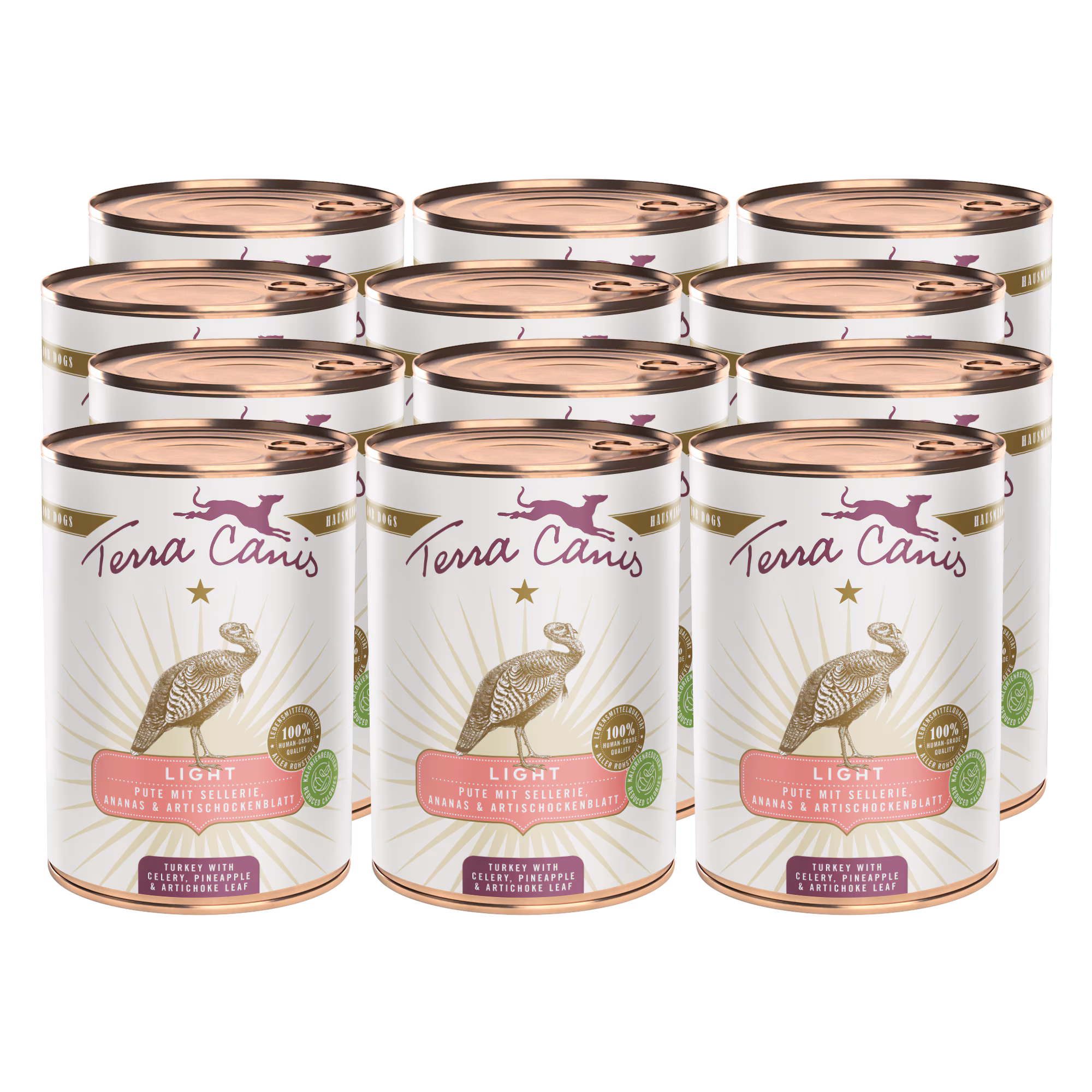 Turkey with celery, pineapple and buckthorn berry