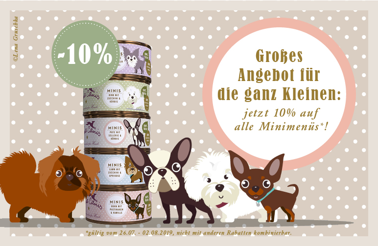 MINI - Angebot