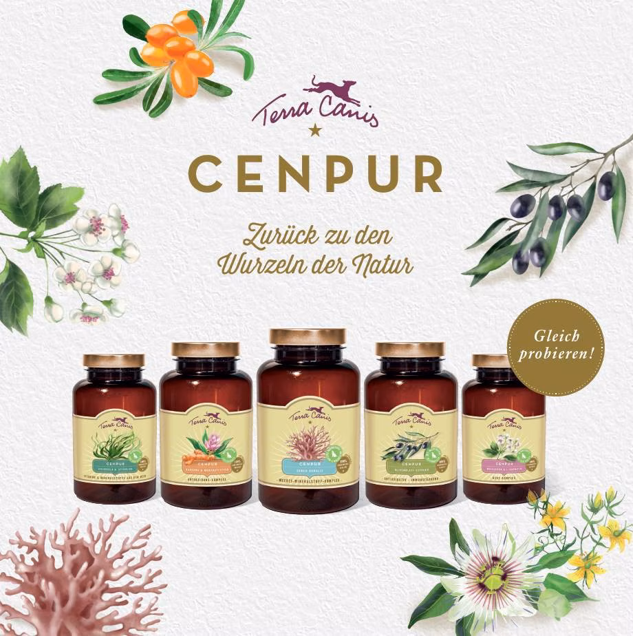 TC DE Flyer Cenpur Endkunde 21x 21