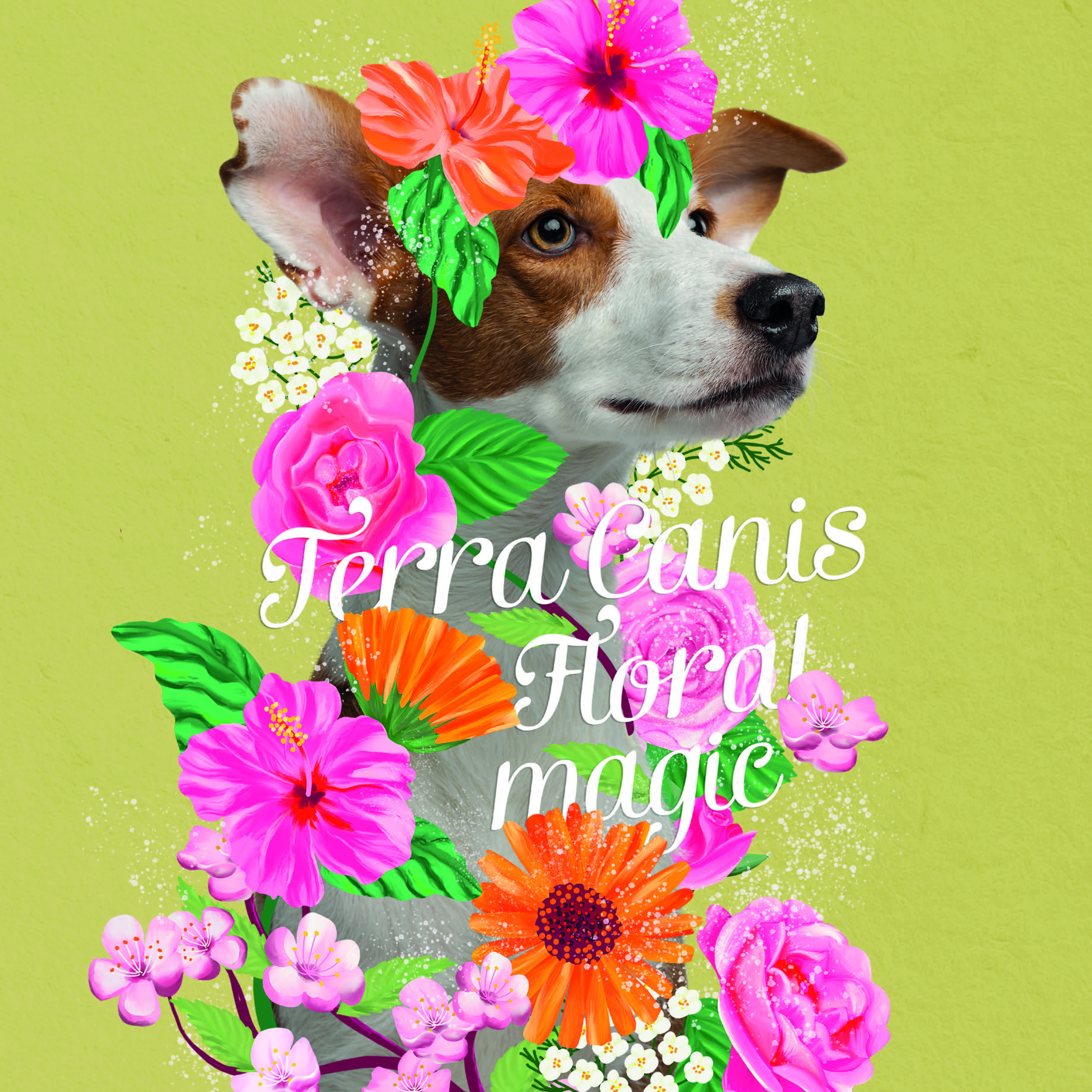 TC_Flower Menüs_Produktflyer _EN_2025