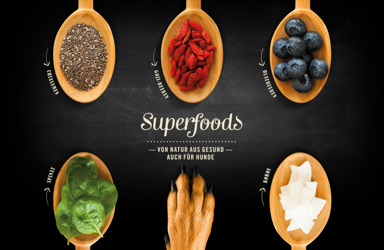 Superfoods für Hunde