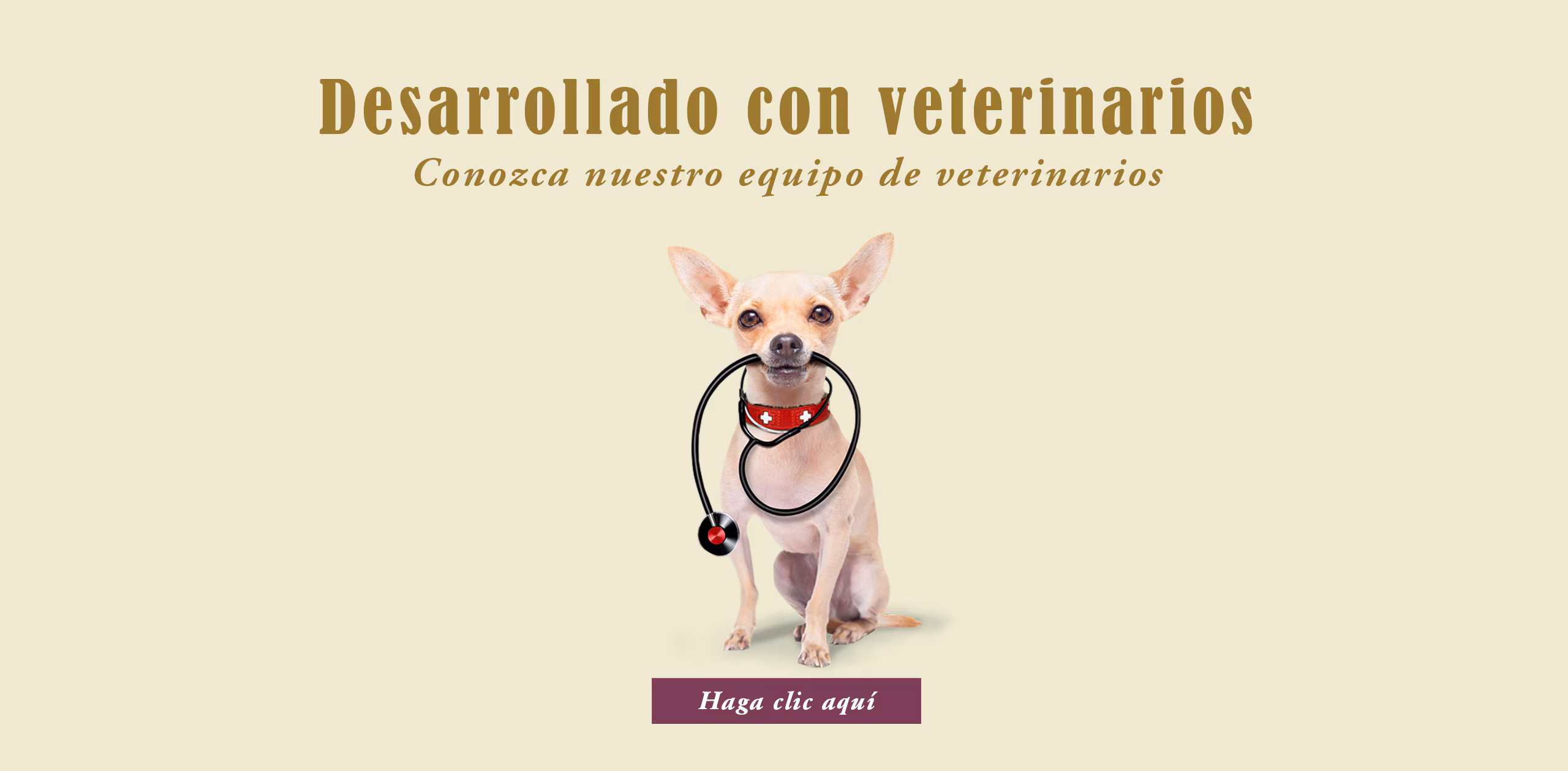Ueber Terra Canis Expertenteam