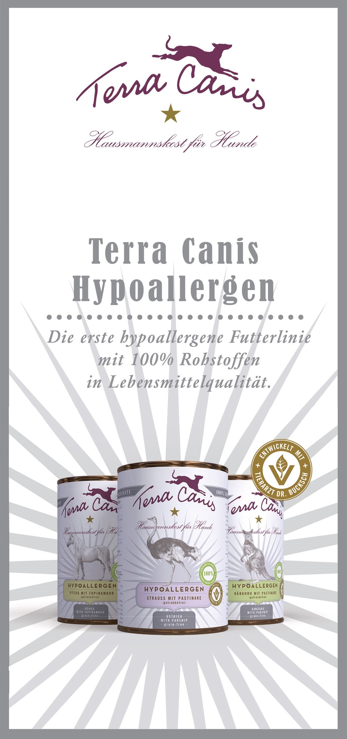 TC Hypo-Broschüre, englische Version