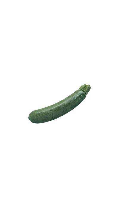 Zucchini2