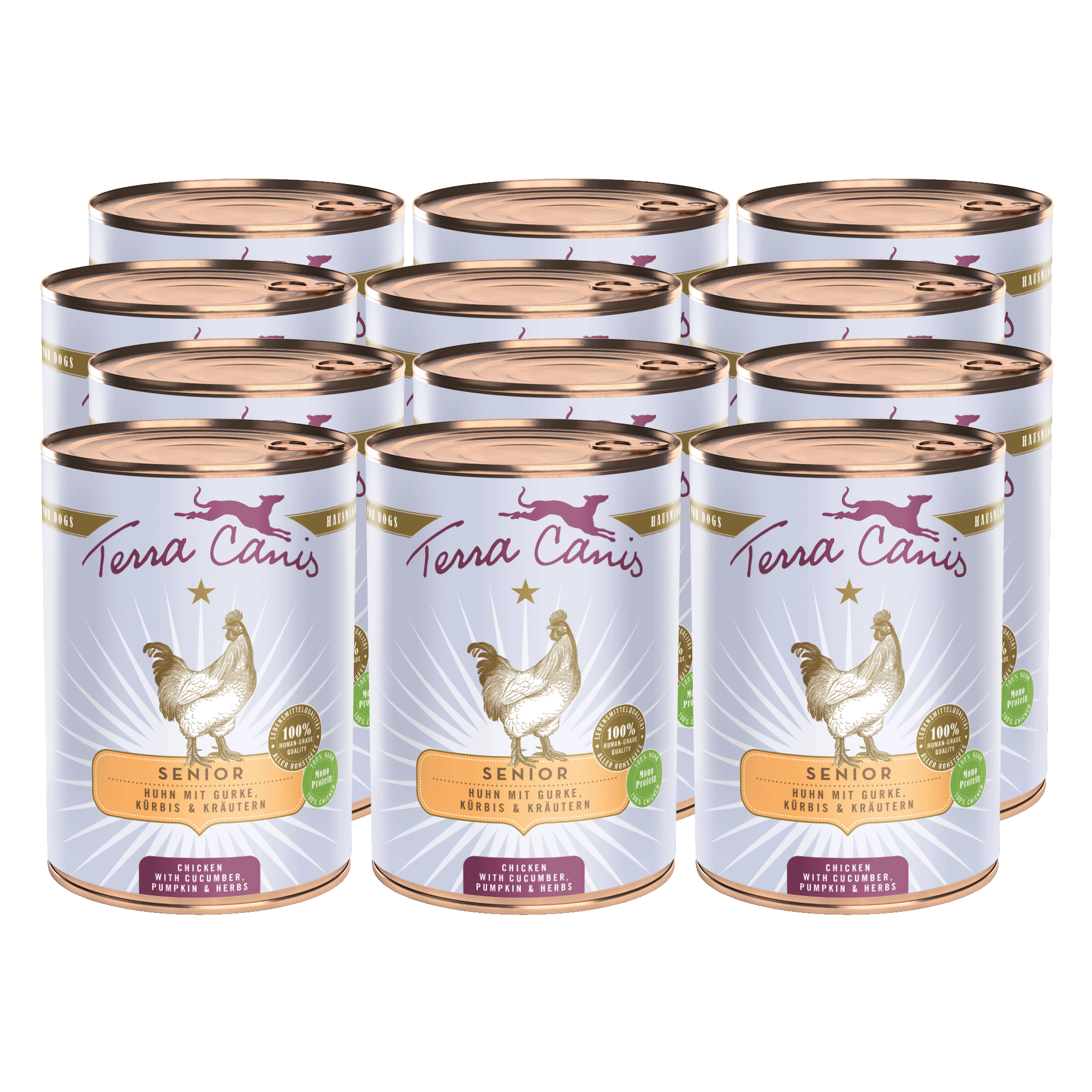 Terra Canis Senior | Huhn mit Gurke, Kürbis und Gesundheitskräutern 12x 400g