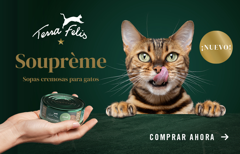 Es It Comida Para Gatos Soupreme