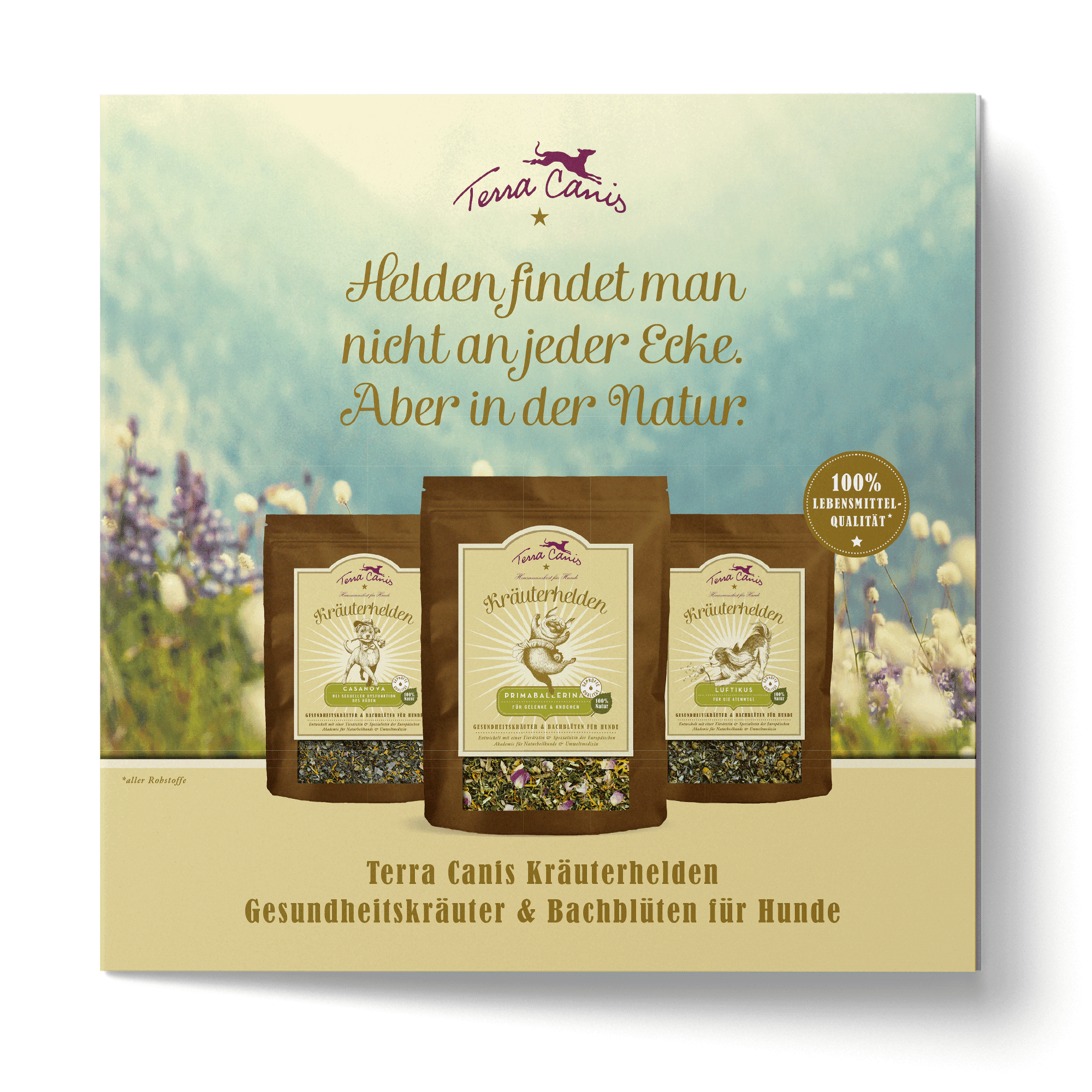 TC Kräuterhelden-Flyer, englische Version