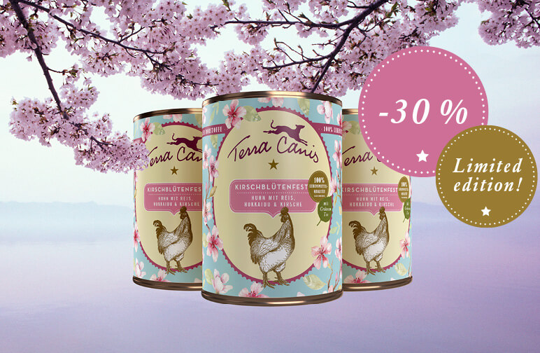 Unser Frühlingsmenü verabschiedet sich mit 30% Rabatt