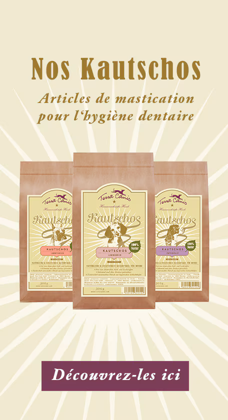 Aliments Pour Chiens Friandises