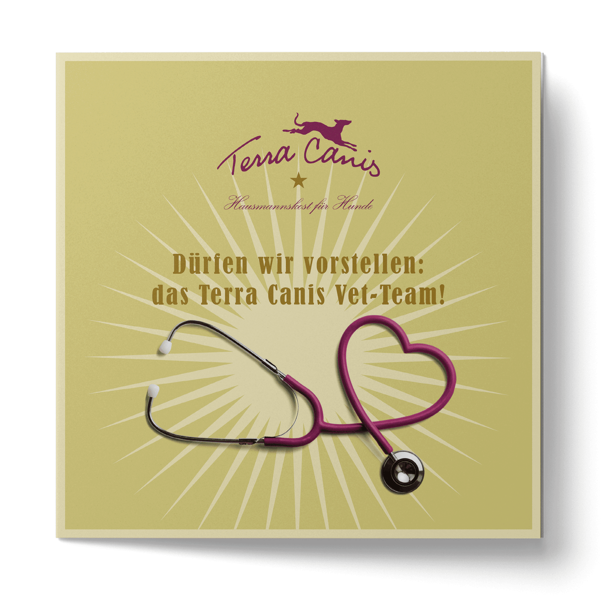 TC Tierarzt-Flyer, englische Version