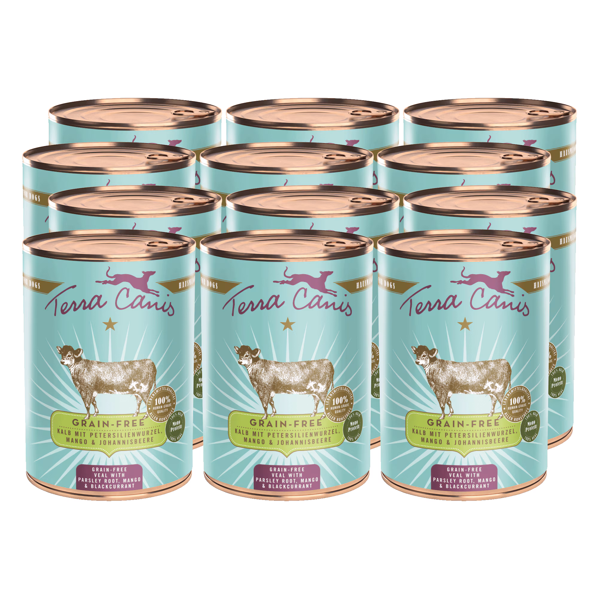 Kalb mit Petersilienwurzel, Mango und Johannisbeere