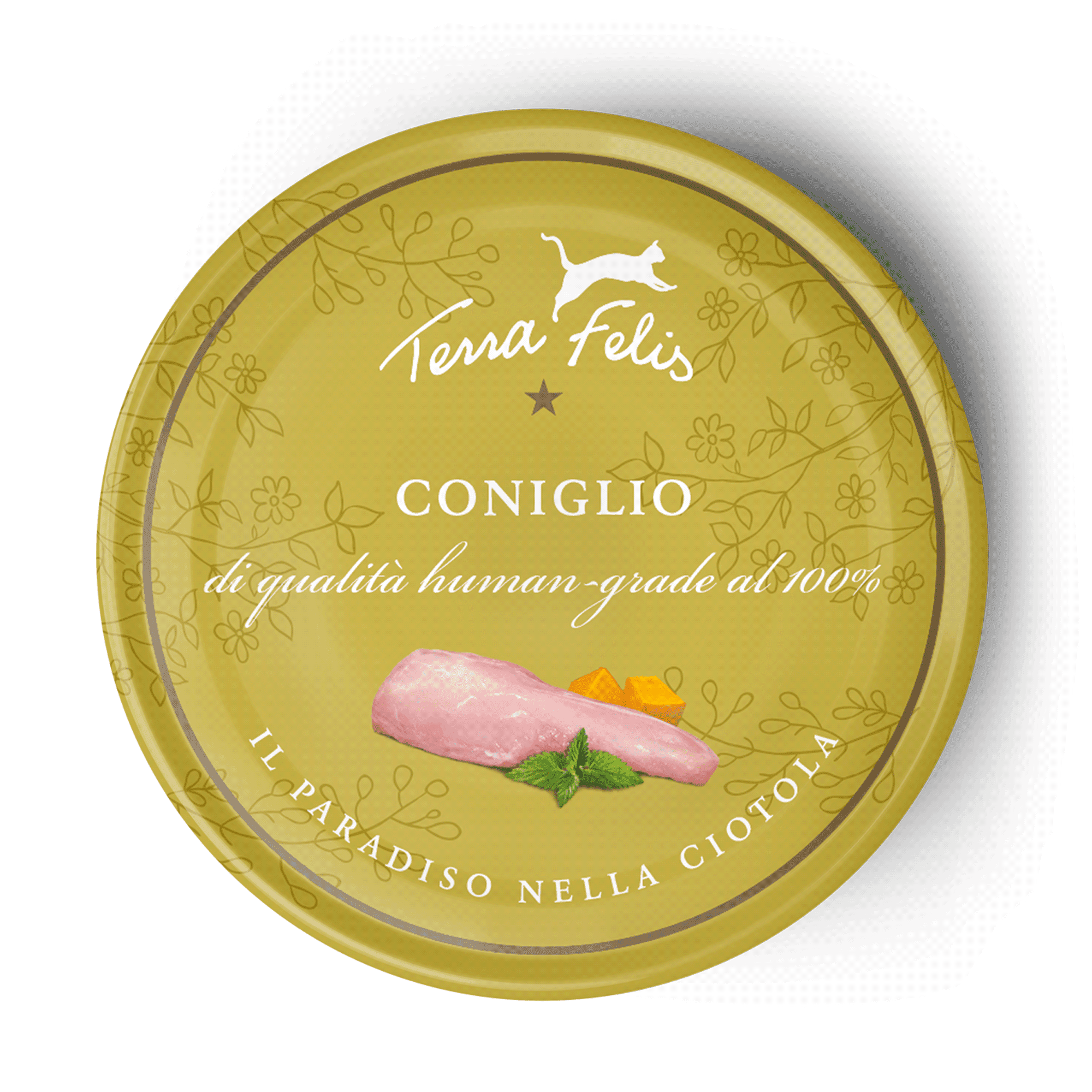 Coniglio