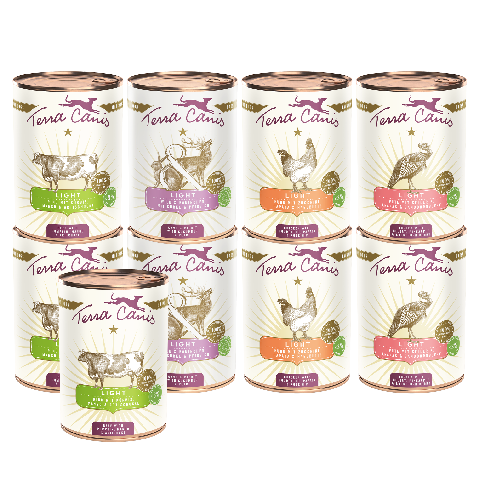 Kennenlernpaket L