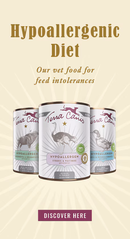 Dog Food Hypoallergenic