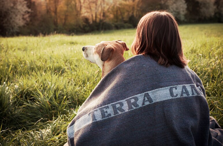 Neu: Die Terra Canis Wolldecke ist da!