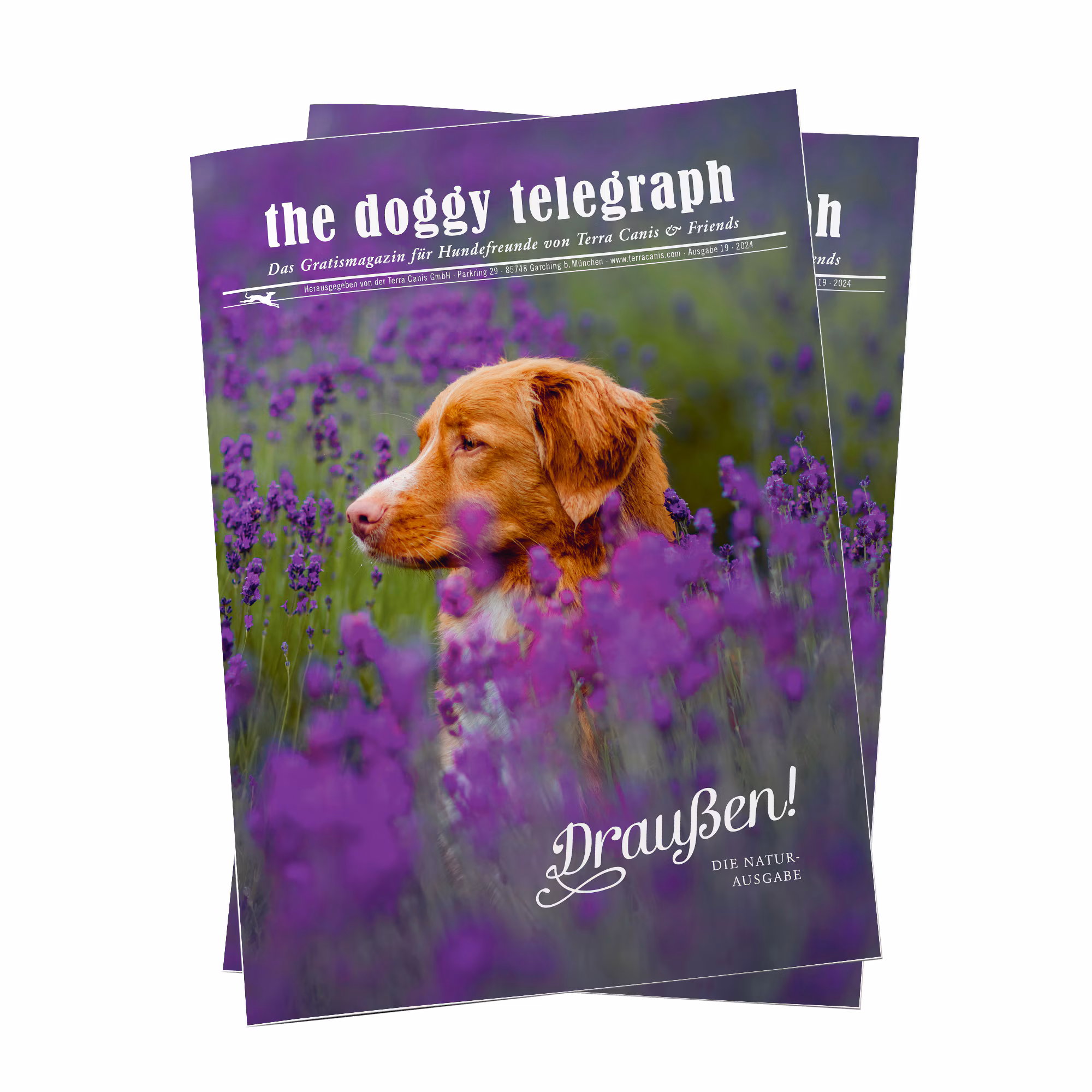 Doggy Telegraph Sommer 2024