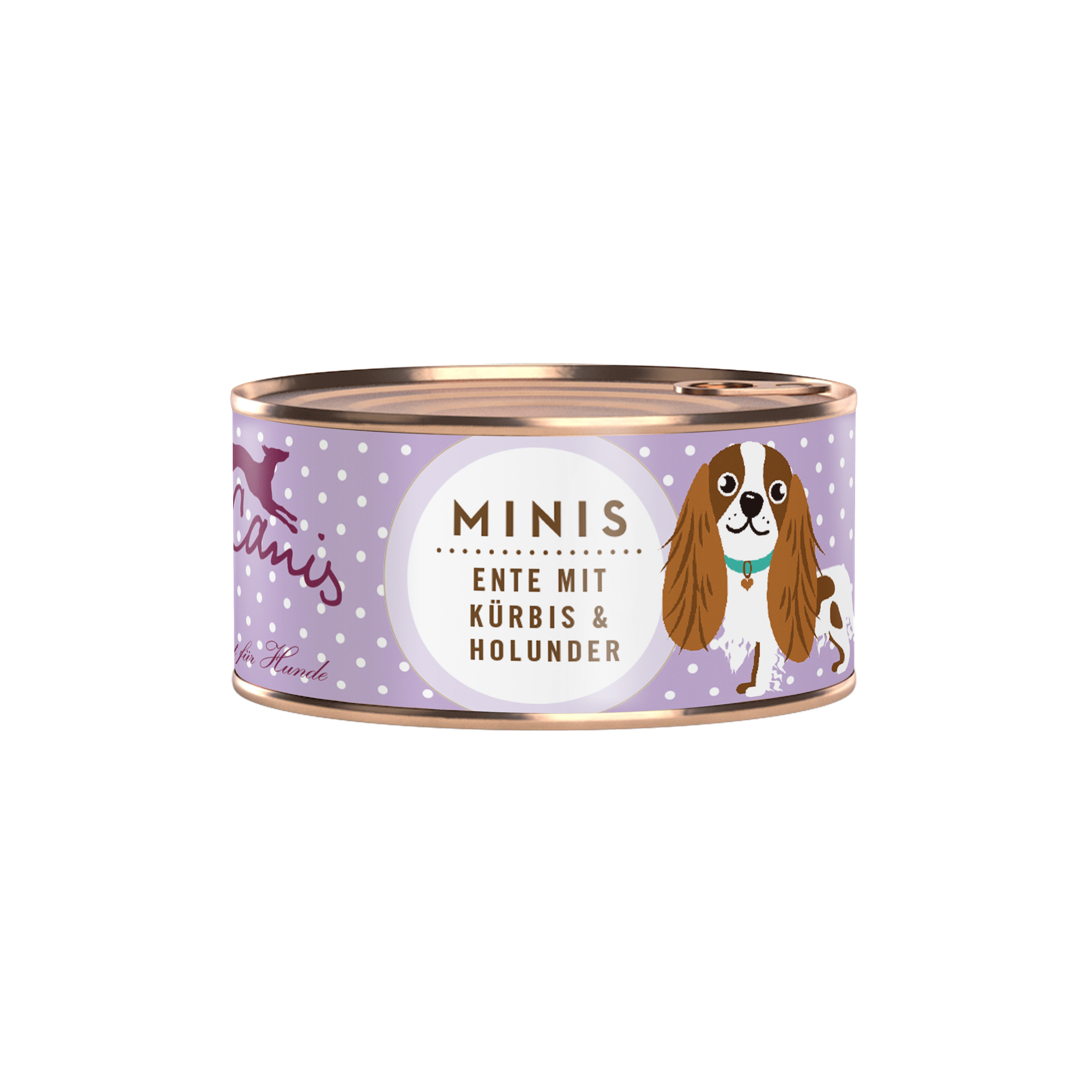 Terra Canis Minis | Ente mit Kürbis, Erdbeere und Holunder  100g