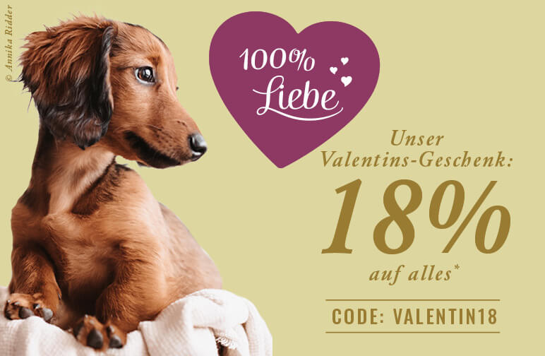 Unser Angebot zum Valentinstag