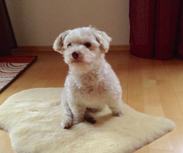 Benny