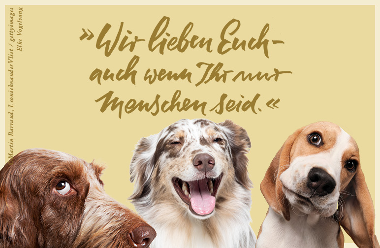 Hundeweisheiten