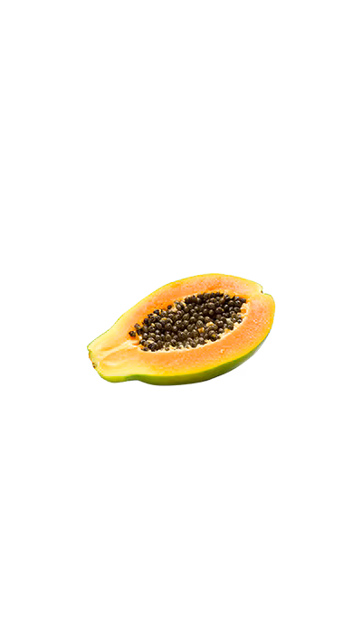 TerraCanis Papaya2