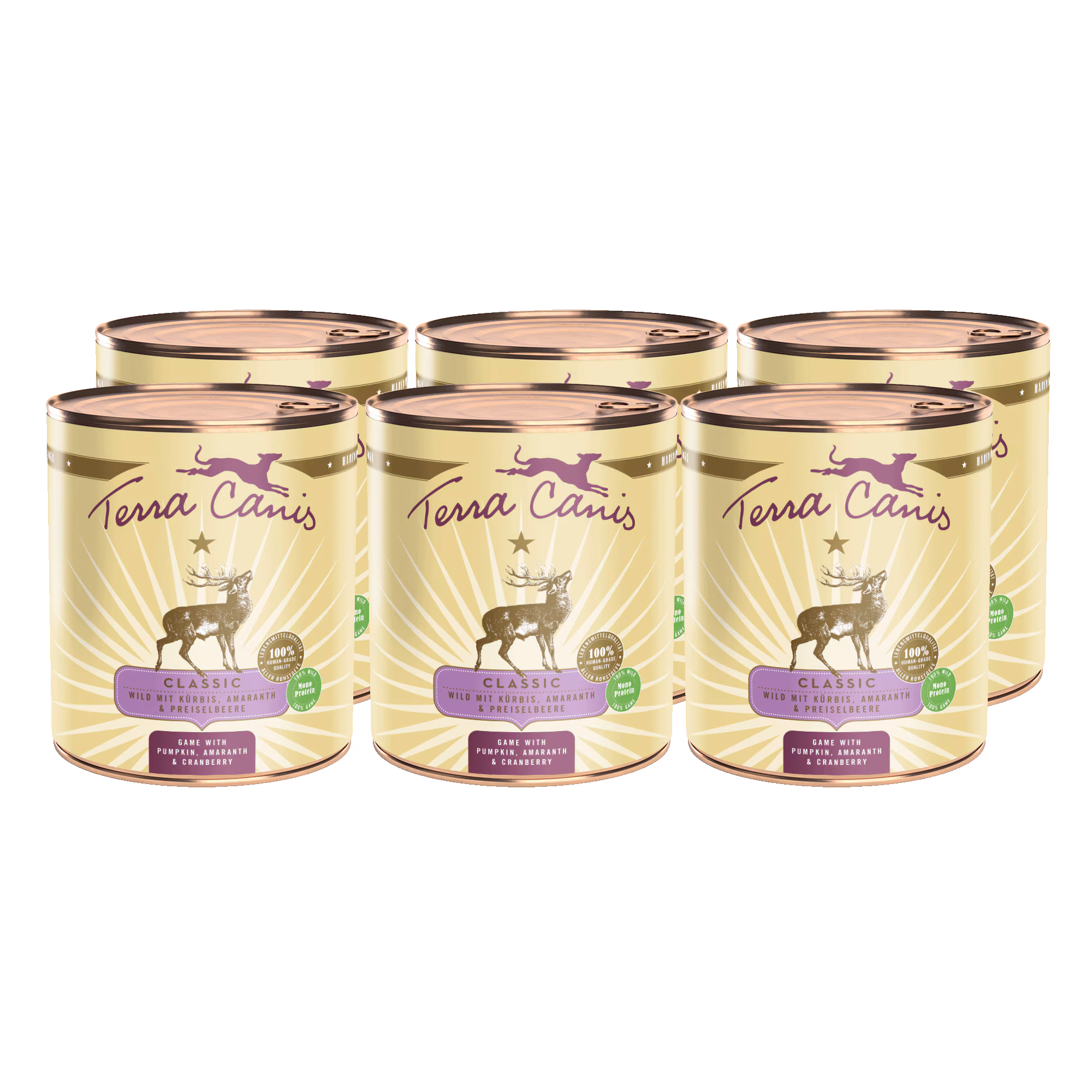 Wild mit Kürbis, Amaranth und Preiselbeere Wild mit Kürbis, Amaranth und Preiselbeere