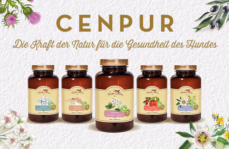 Weißdorn & L-Carnitin für Hunde