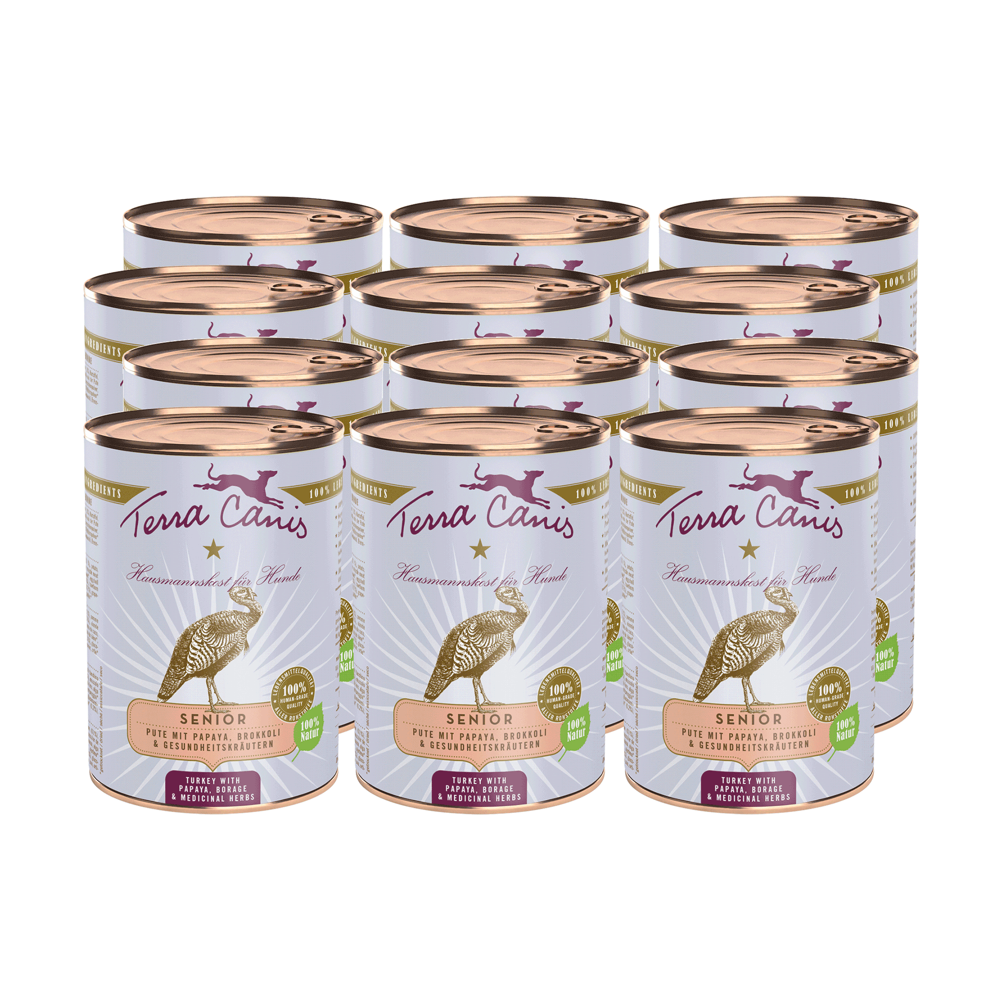 Terra Canis Senior Hundenassfutter – Pute, 800g Dose (6er Pack), Für ältere Hunde