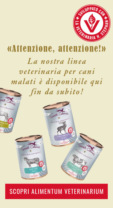 Cibo Per Cani Alimenti Veterinari