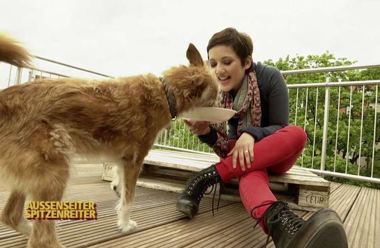Die Terra Canis Bürohunde sind wieder im TV!