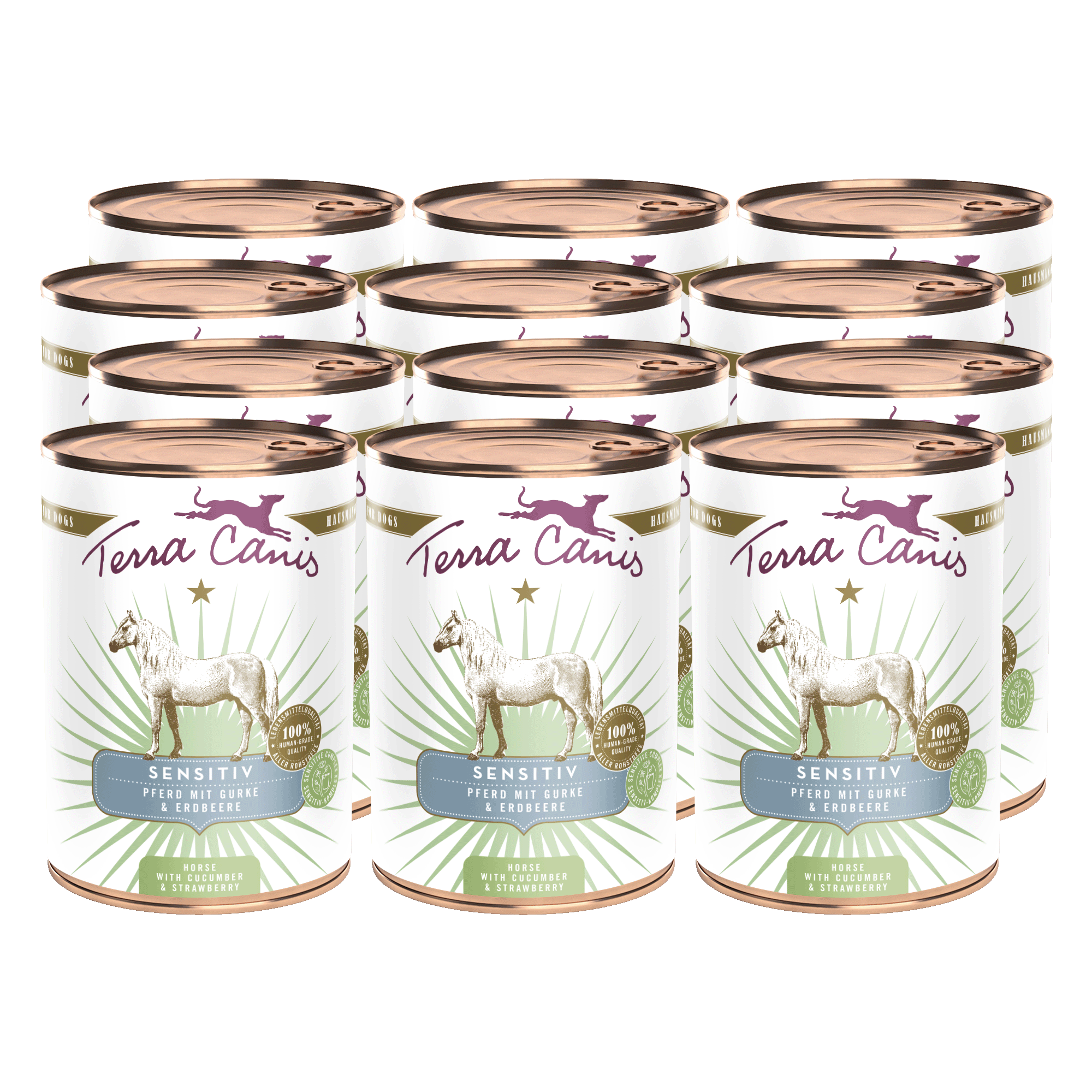 Terra Canis Sensitiv | Pferd mit Gurke und Erdbeere 12x 400g