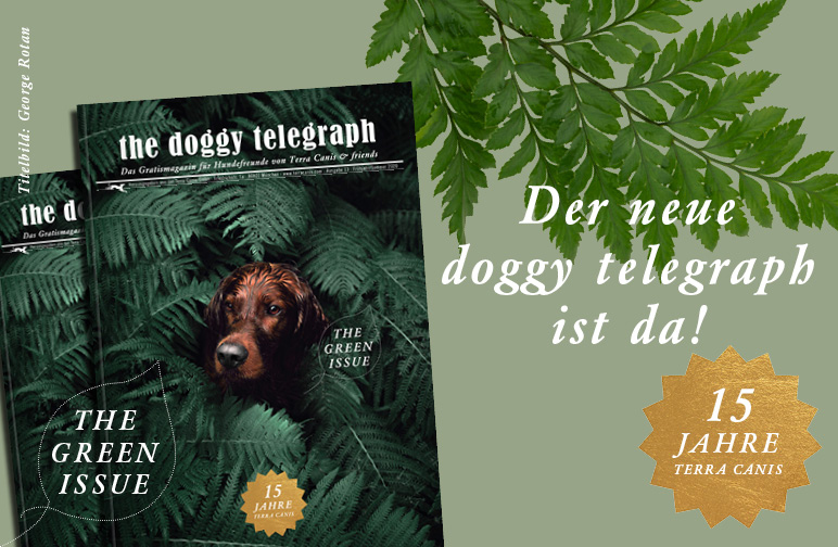 Der neue Doggy Telegraph ist da