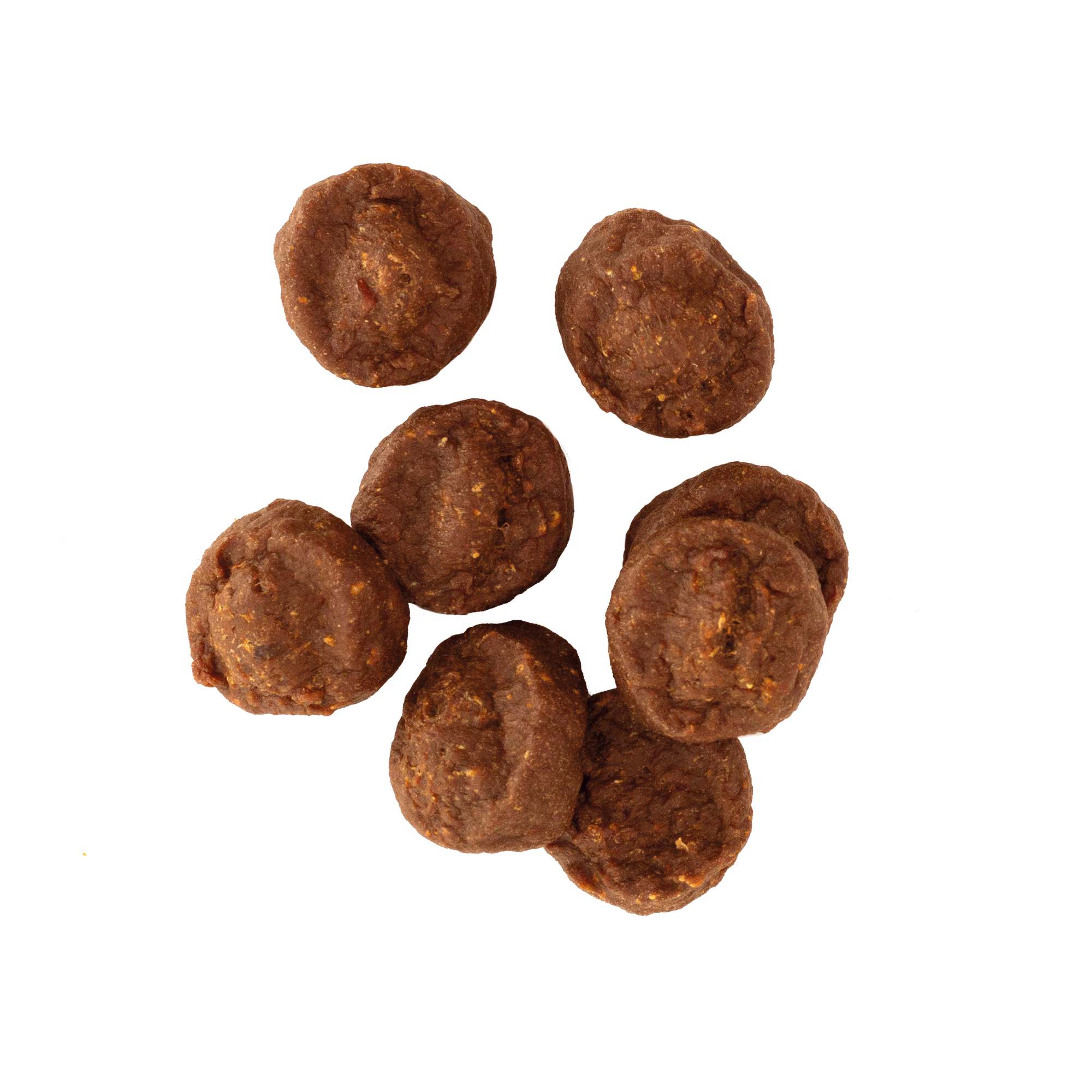 TrekkingTreats 2000x2000 TrekkingTreats 2000x2000
