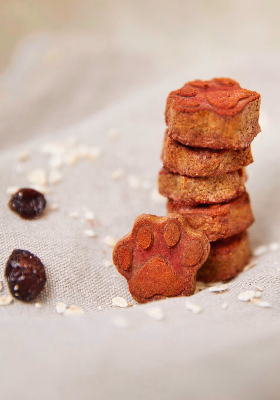 TC Kitchen Corner CookIt Kacheln Puppy Paws Desktop