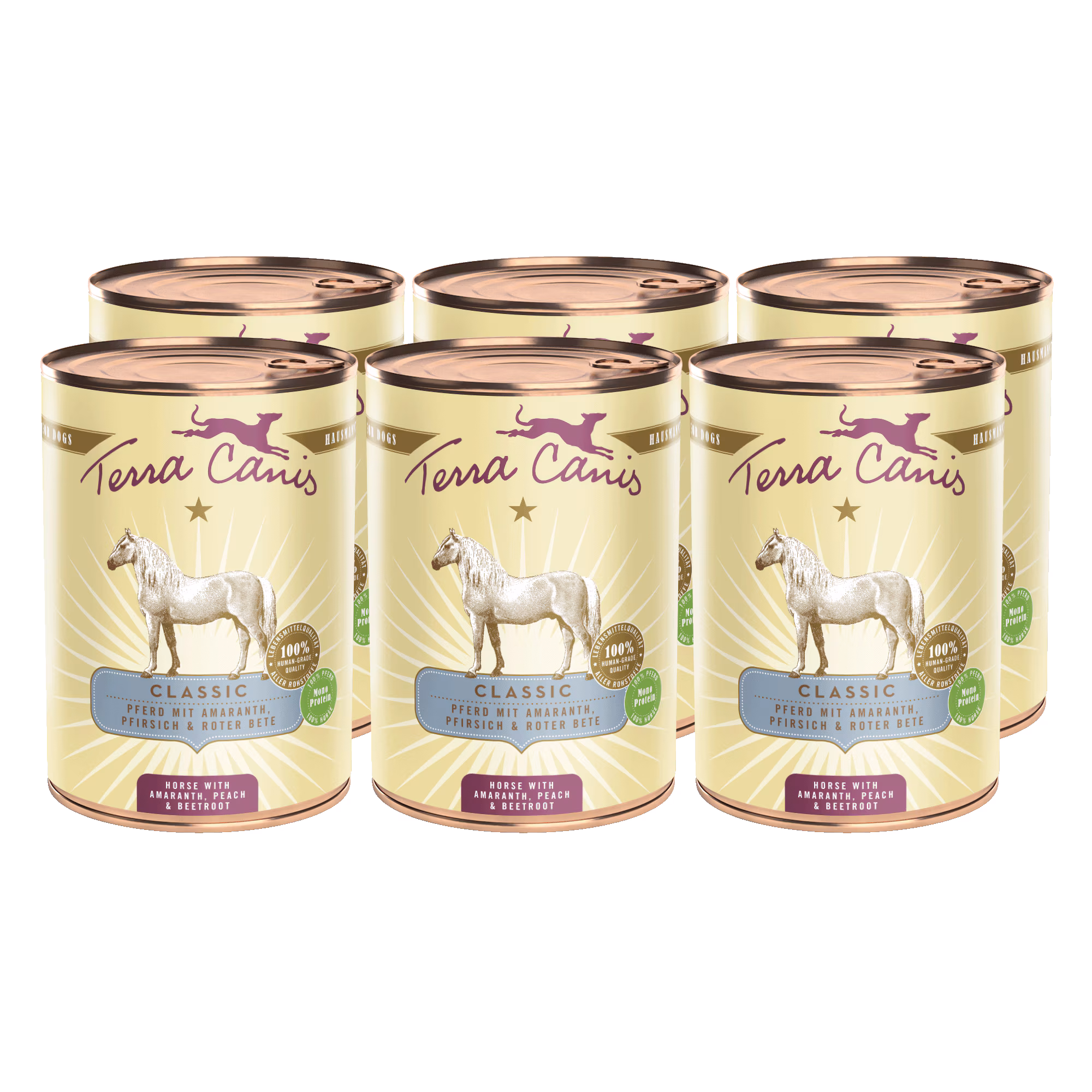 Pferd mit Amaranth, Pfirsich und Roter Bete 